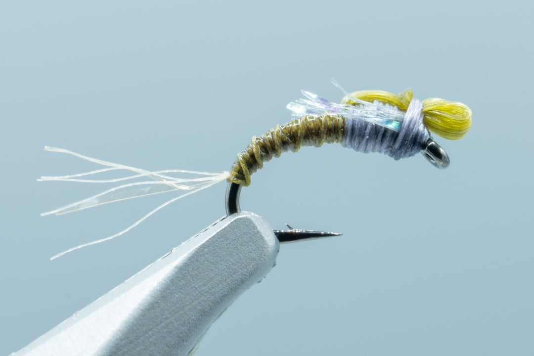 Hilbert's Sexi Top May BWO #18