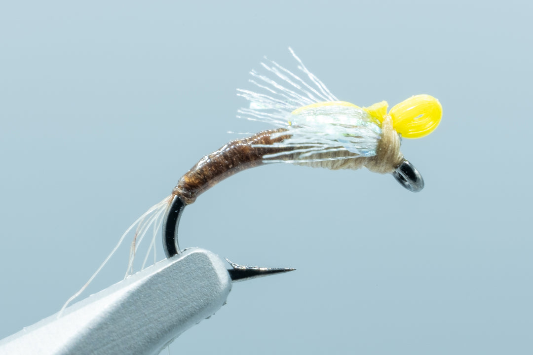 Hilbert's Sexi Top May PMD #18