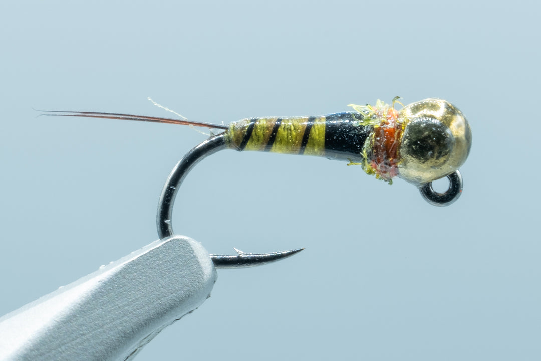 Jig Fullback Napoleon Olive