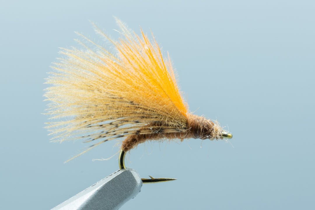 Oikawa's CDC Caddis Brown #16