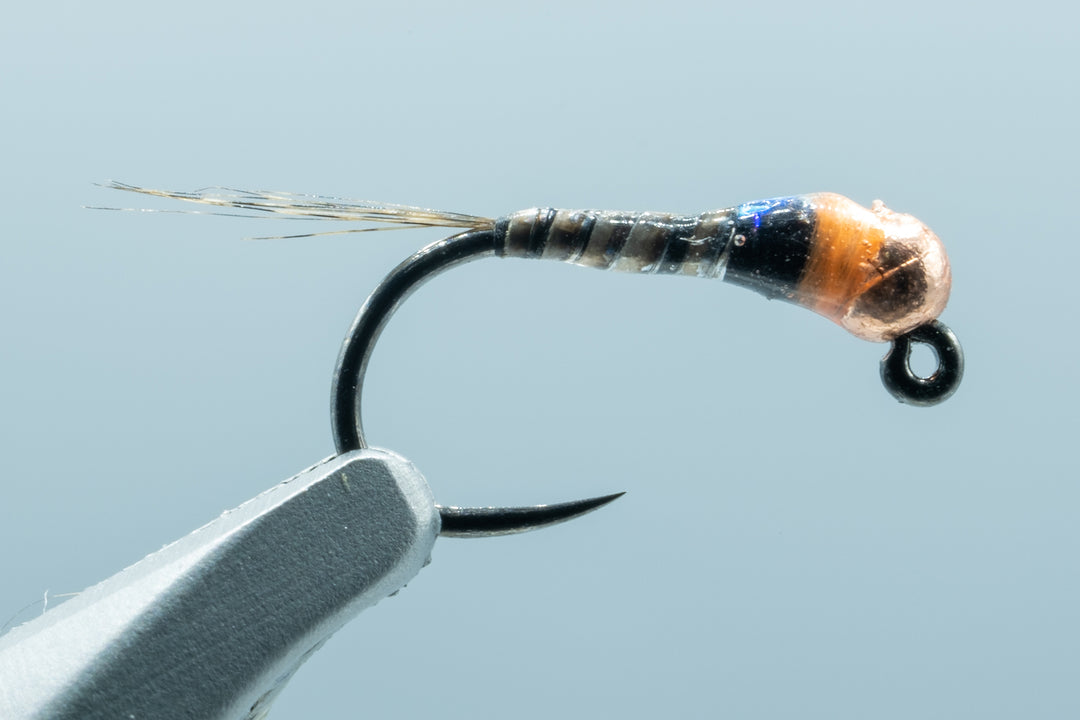 Spanish Bullet Brown Quill Flashback #18