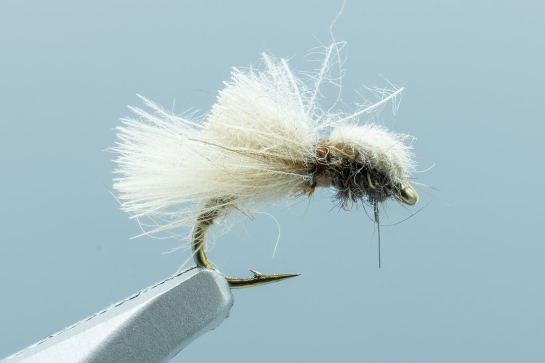 CDC Caddis Emerger Olive #16