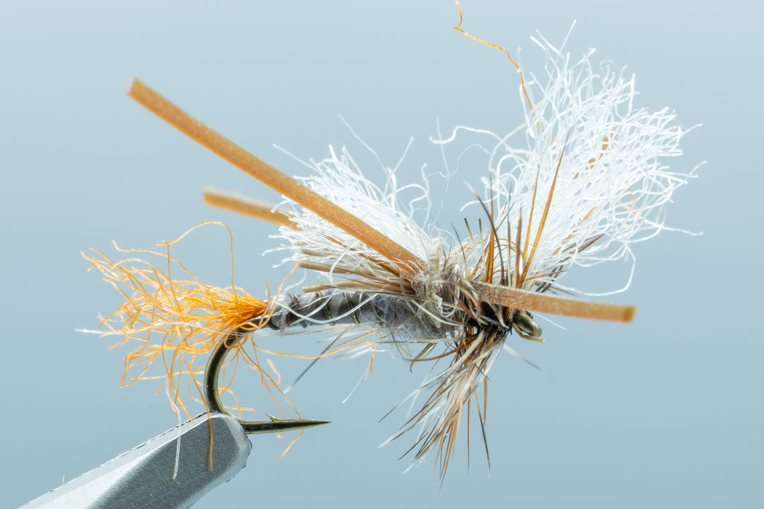 Delectable RL Hot Butt Parachute #16