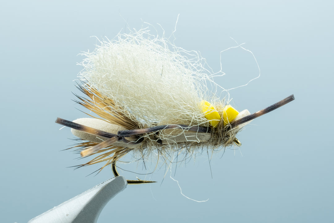 Everything Foam Tan #12