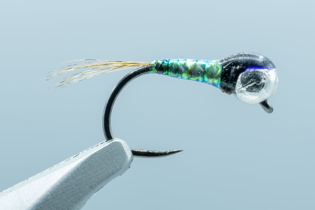 FL Peacock Perdigon #14