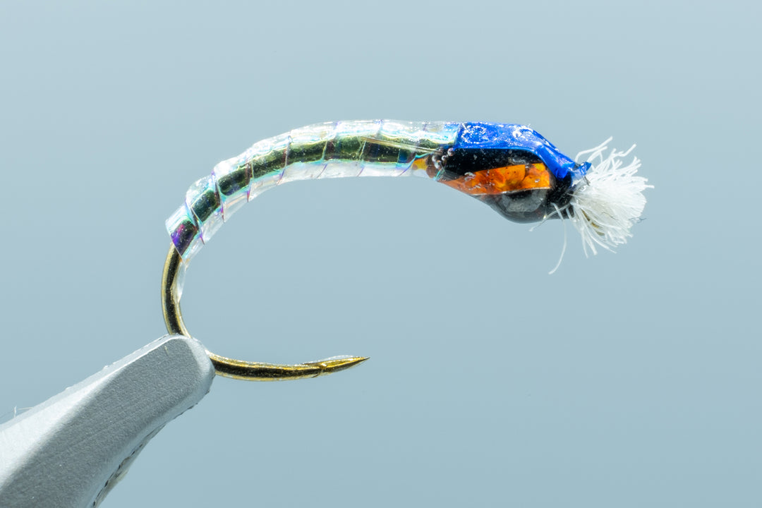 Opal Chironomid #12