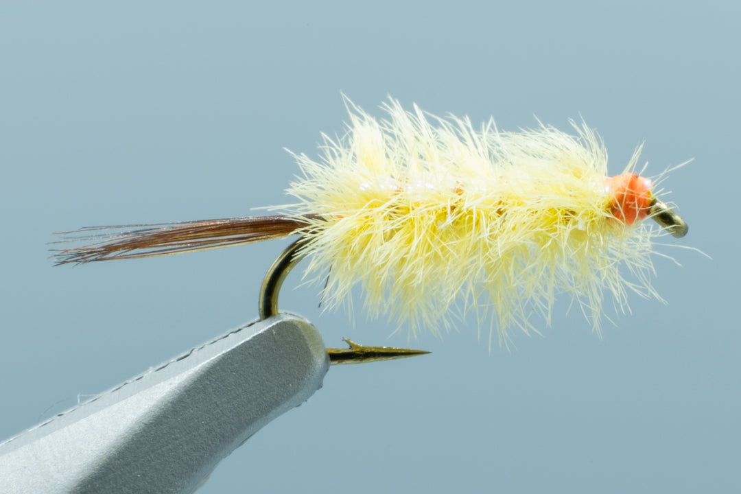 Ray Charles Yellow #16
