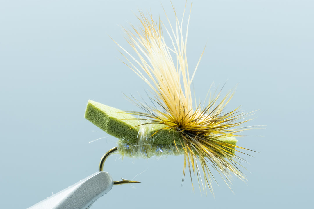 Skater Tot Olive #14