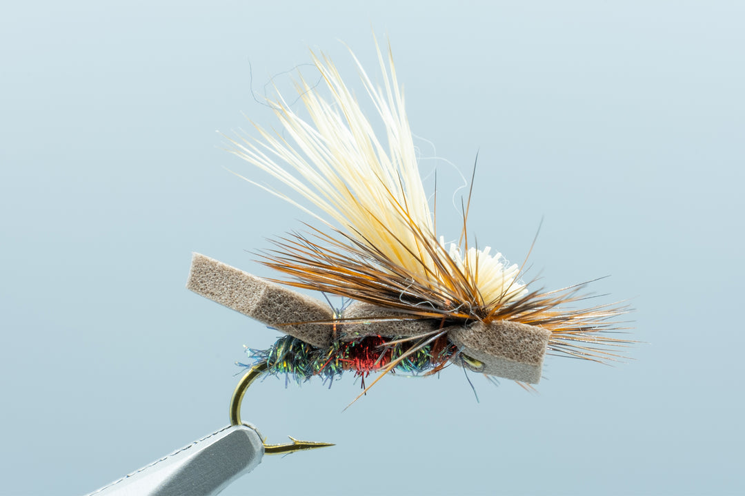 Skater Tot Royal #14