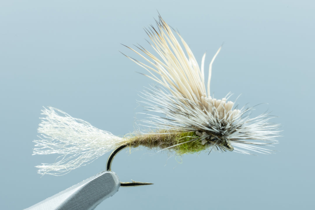 X-Caddis Stacker Olive #14