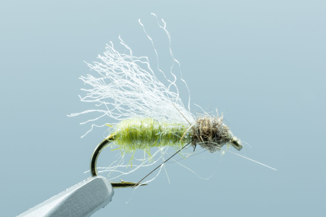Zylon Emerger Olive #16