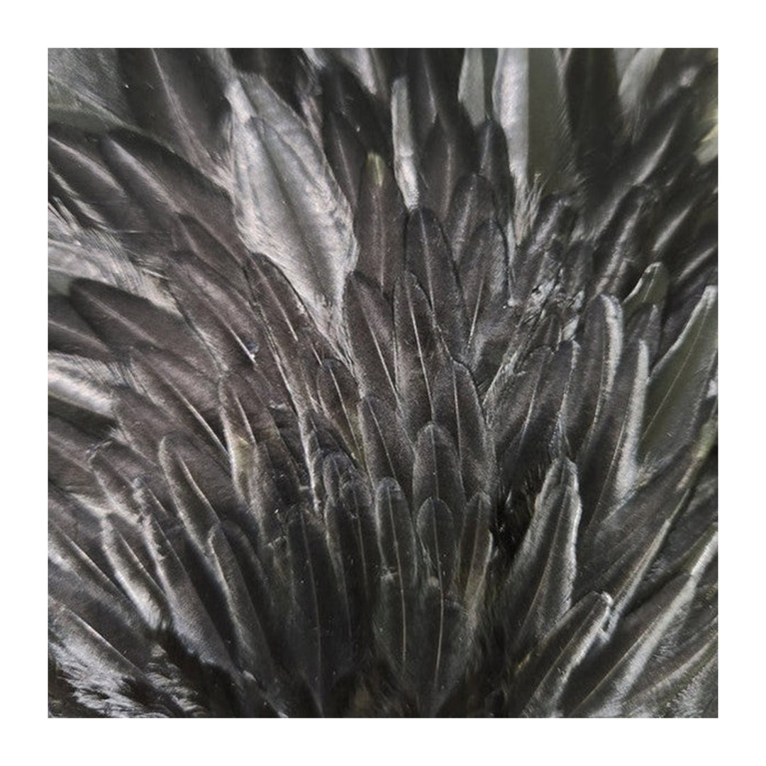 Natures Spirit Select Hen Saddle