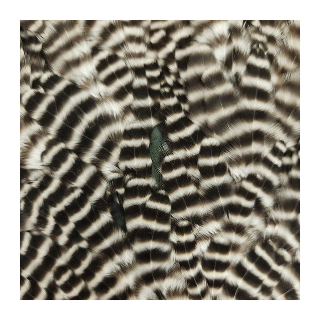 Natures Spirit Select Hen Saddle