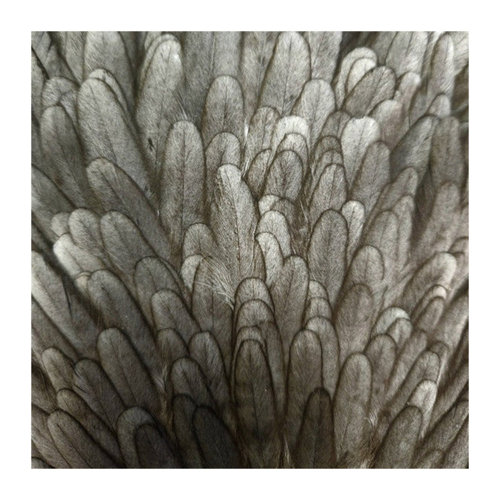 Natures Spirit Select Hen Saddle