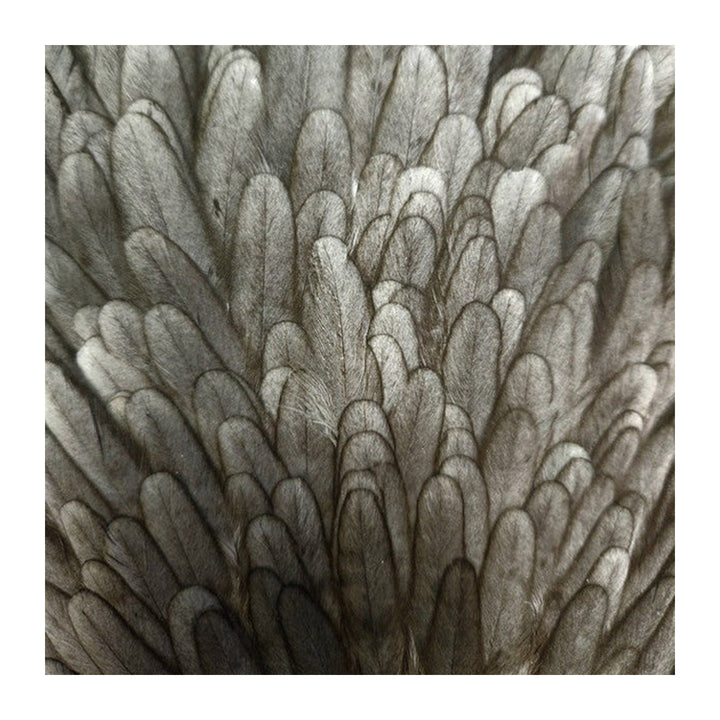 Natures Spirit Select Hen Saddle