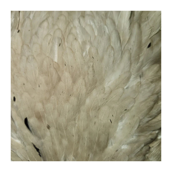 Natures Spirit Select Hen Saddle