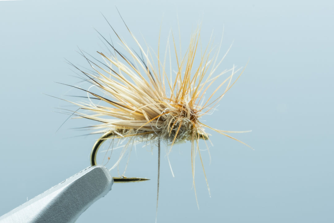 King Splitsville Caddis Tan #16