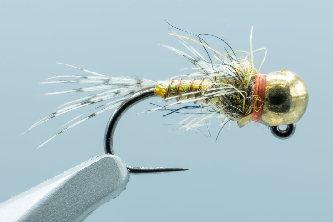 TBH Morrish Sparkle Donkey Gold #16