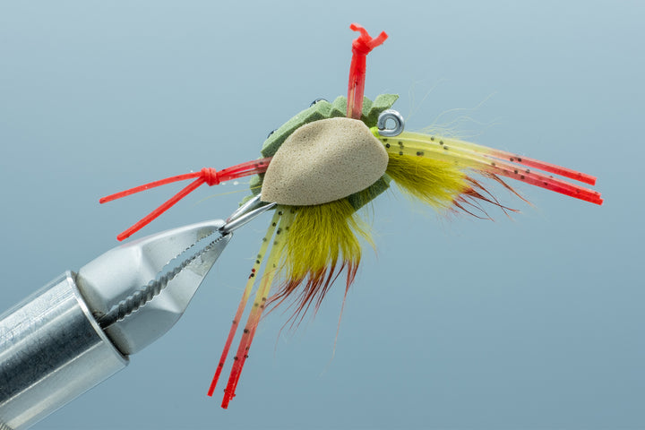 Floating Flotsam Crab Olive  #4