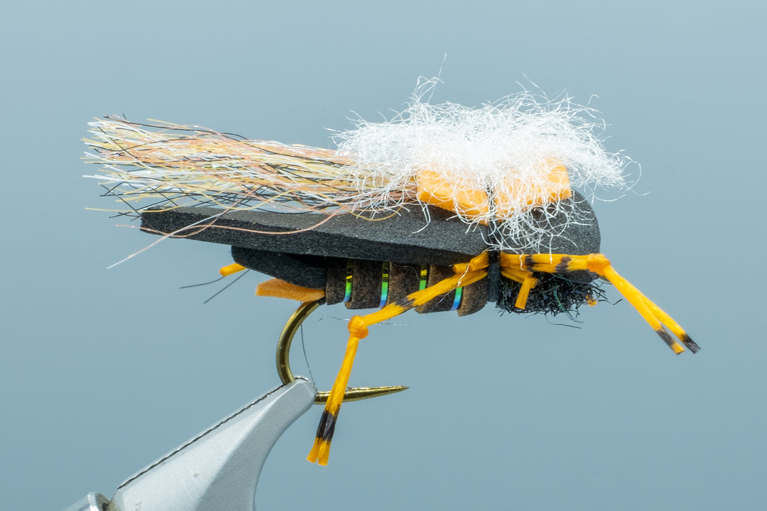 Mason's Hipster Doofus Cicada