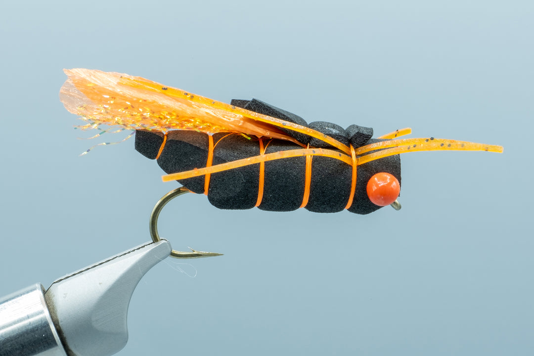 Satkowski's Urban Sumo Cicada Black