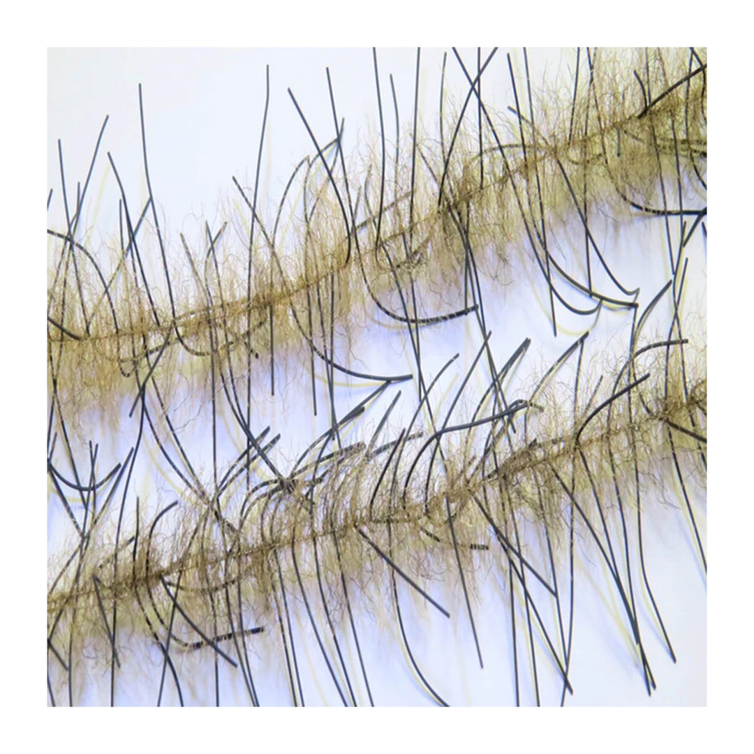 Renzetti Lively Leg Crustacean Brush 1/2"