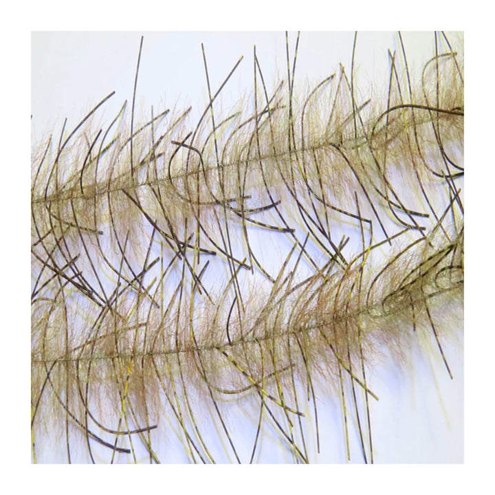 Renzetti Lively Leg Crustacean Brush 1/2"