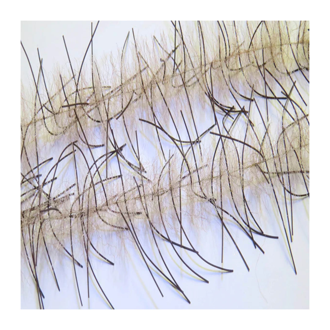 Renzetti Lively Leg Crustacean Brush 1"