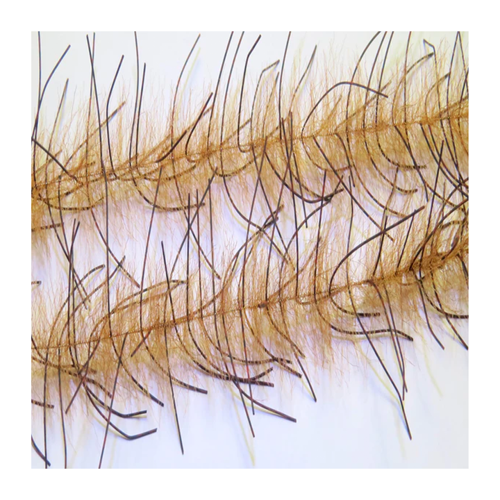 Renzetti Lively Leg Crustacean Brush 1/2"