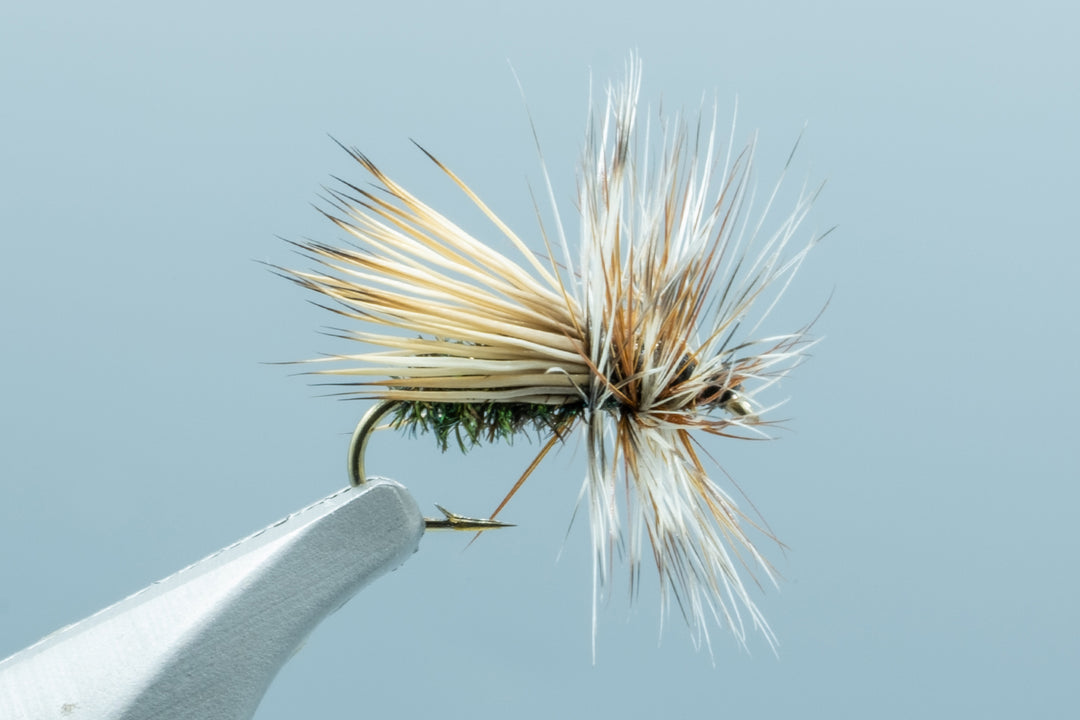 Peacock Caddis #16