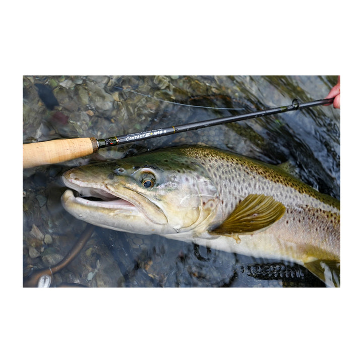 Thomas & Thomas Contact III+ Uplocking Euro Fly Rod