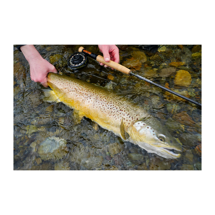 Thomas & Thomas Contact III+ Uplocking Euro Fly Rod