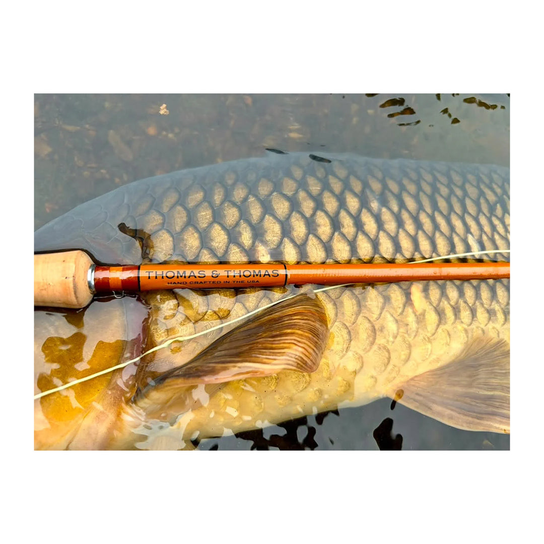Thomas & Thomas Lotic II Fiberglass Fly Rod