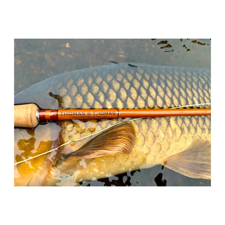 Thomas & Thomas Lotic II Fiberglass Fly Rod