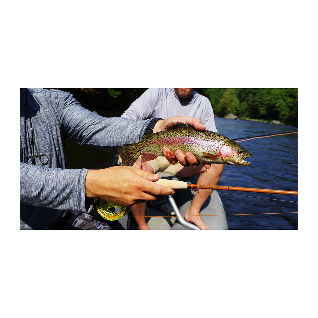 Thomas & Thomas Lotic II Fiberglass Fly Rod