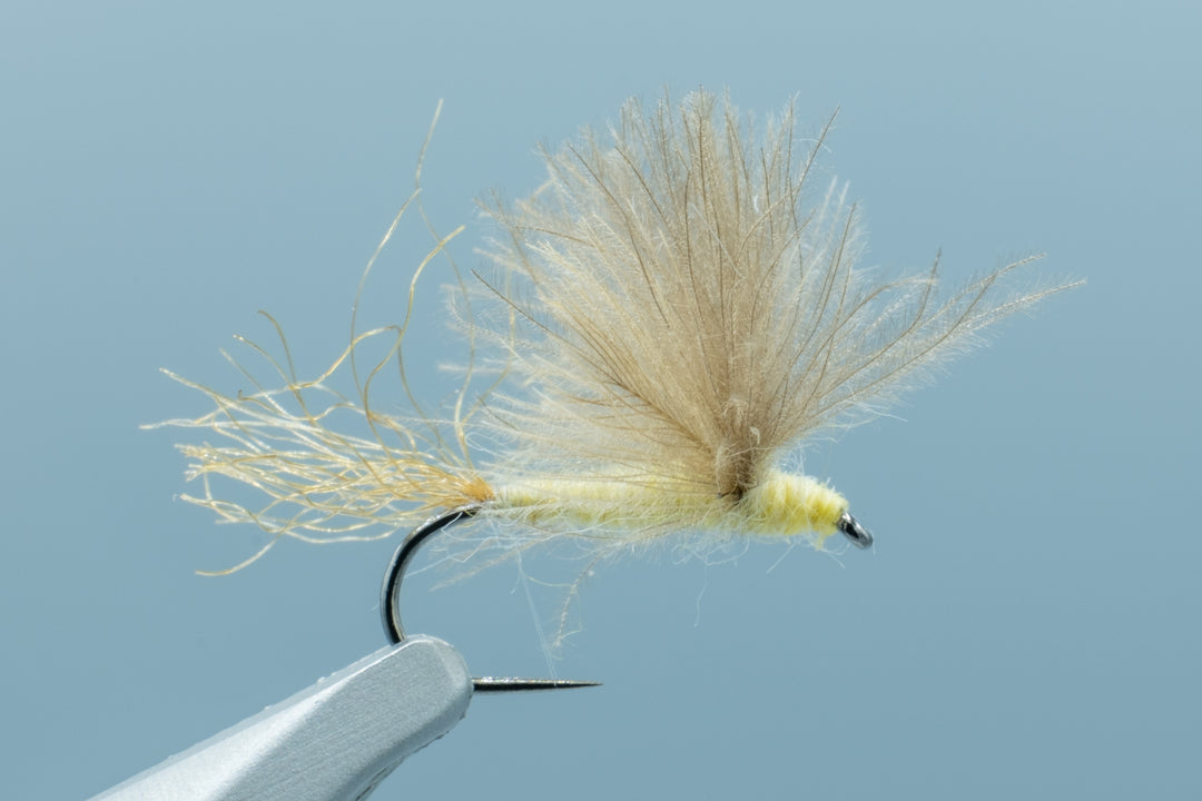 CDC Sparkle Dun PMD #16