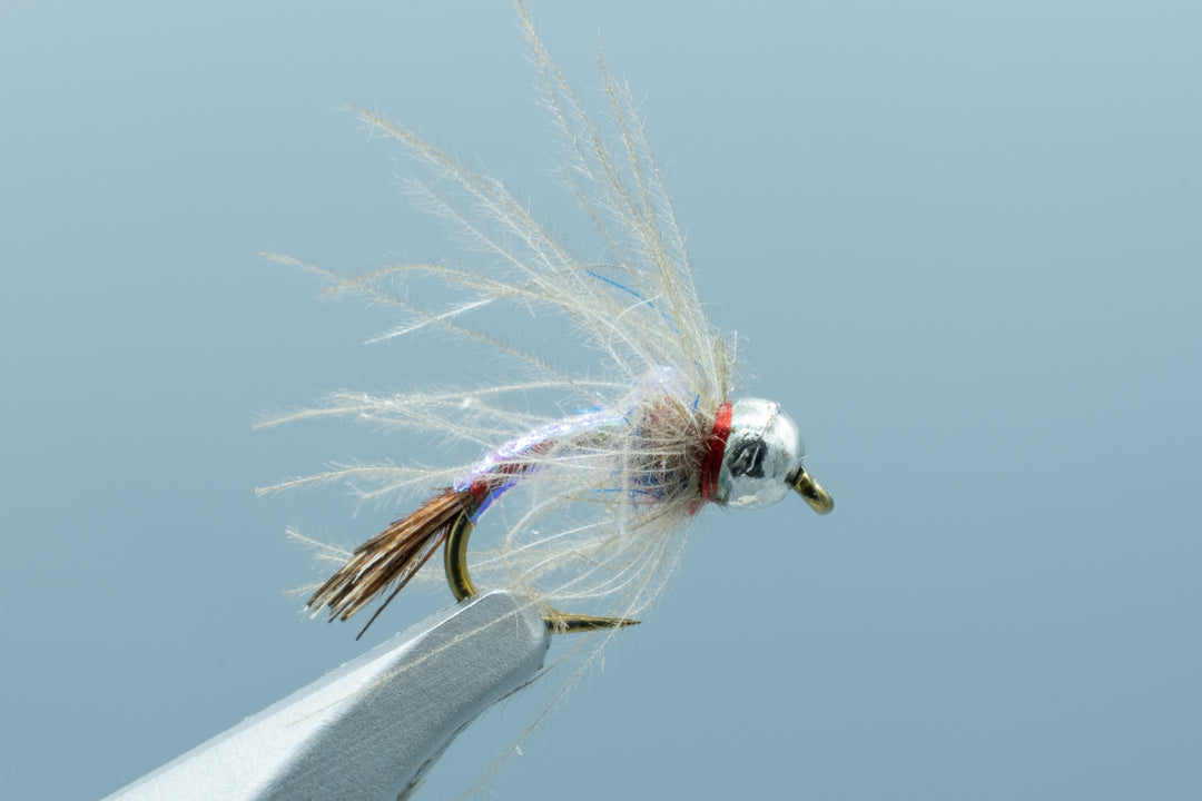 Egan's CDC Tungsten Rainbow Warrior