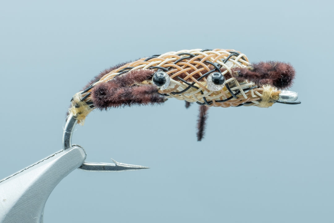 Gerbec's Alphlexo Crab Snake