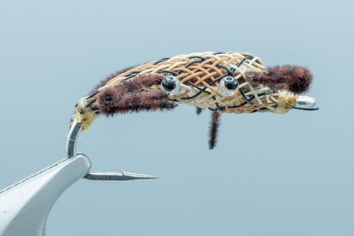 Gerbec's Alphlexo Crab Snake
