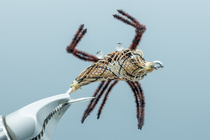 Gerbec's Alphlexo Crab Snake