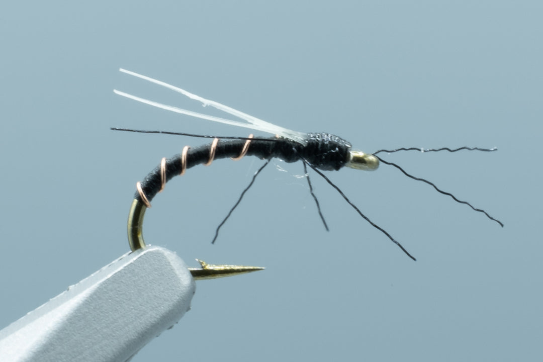 Gonzales's 1 O'Clock Midge Black