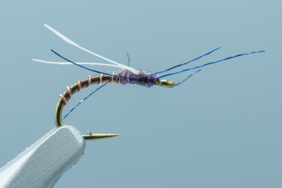 Gonzales's 1 O'Clock Midge Brown