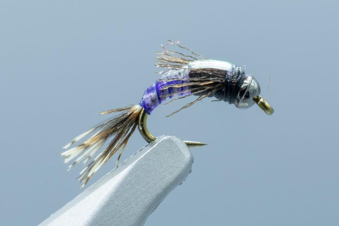 Juju Baetis Tungsten Purple