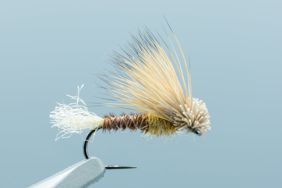PT X Caddis Tan #16