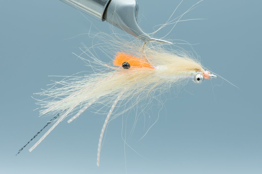 Spawning Shrimp Tan BC #6