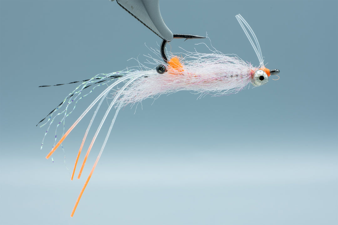 Spawning Shrimp BC Pink