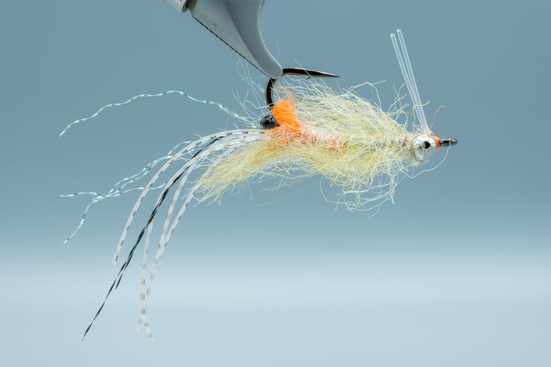 Spawning Shrimp BC Sand