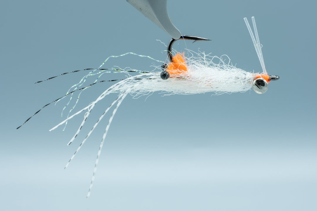 Spawning Shrimp Transparent