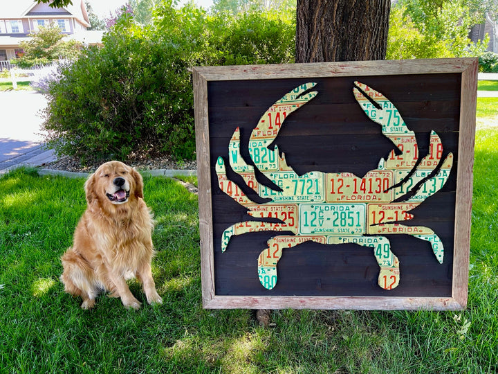 Florida Blue Crab License Plate Art - Madison River Fishing Company
