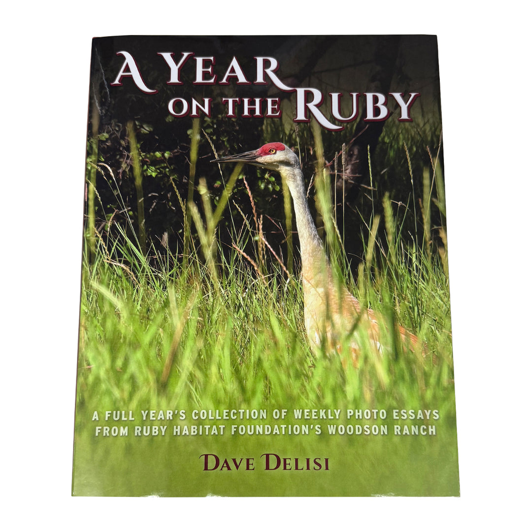A Year On The Ruby by Dave Delisi - Madison River Fishing Company